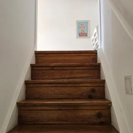 公寓 Casa Do Carril 阿威罗